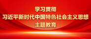 操逼逼小B学习贯彻习近平新时代中国特色社会主义思想主题教育_fororder_ad-371X160(2)